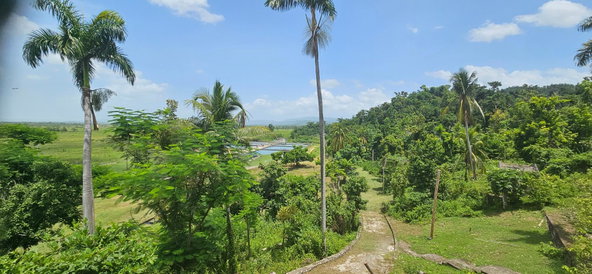 Fourteenth image of Roaring River in Roaring River, Westmoreland, Jamaica - property is For Sale
