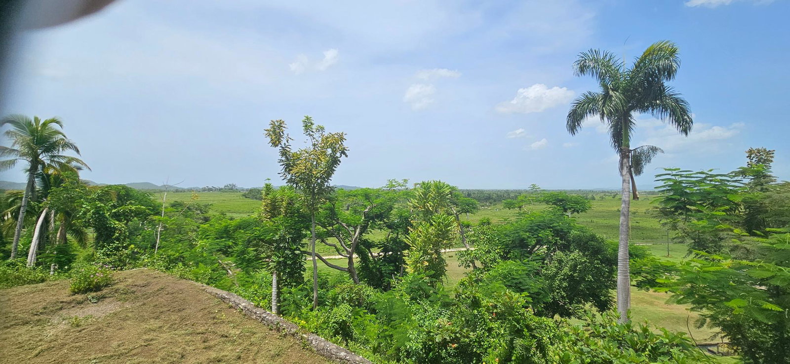 Fifteenth image of Roaring River in Roaring River, Westmoreland, Jamaica - property is For Sale