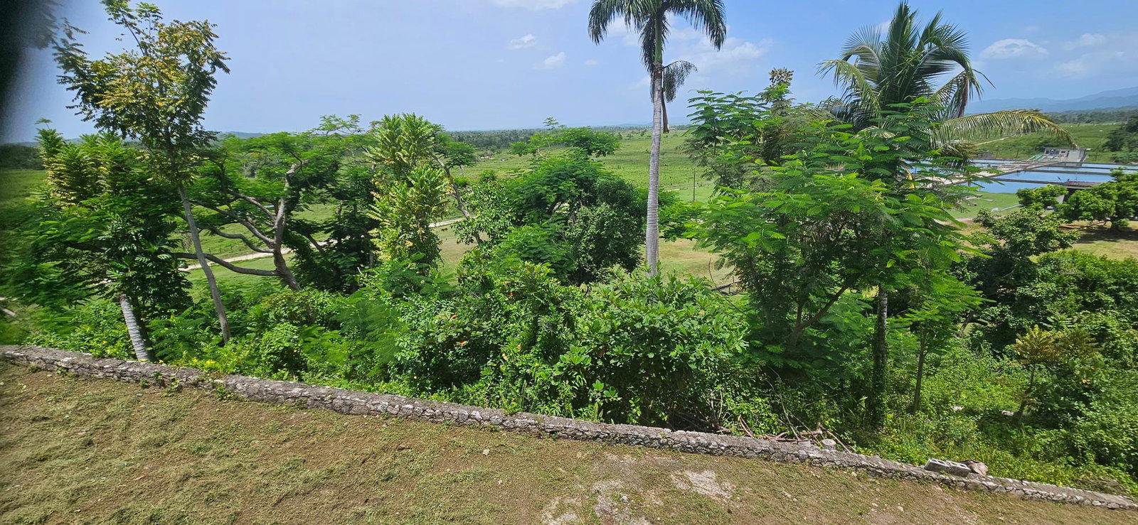 Seventeenth image of Roaring River in Roaring River, Westmoreland, Jamaica - property is For Sale
