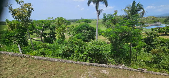Seventeenth image of Roaring River in Roaring River, Westmoreland, Jamaica - property is For Sale