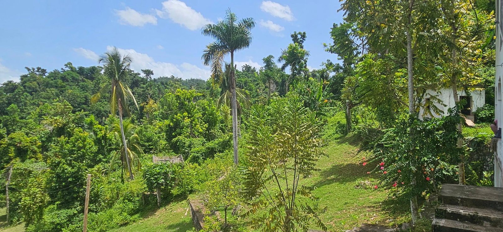 Eighteenth image of Roaring River in Roaring River, Westmoreland, Jamaica - property is For Sale