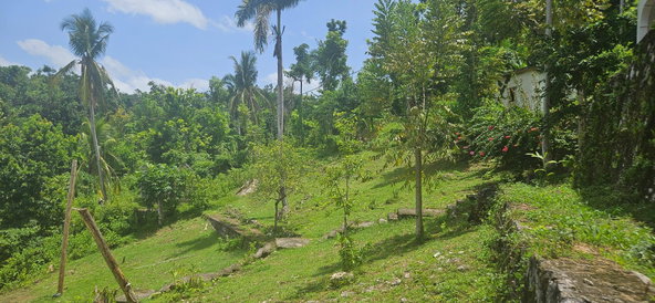 Eighth image of Roaring River in Roaring River, Westmoreland, Jamaica - property is For Sale