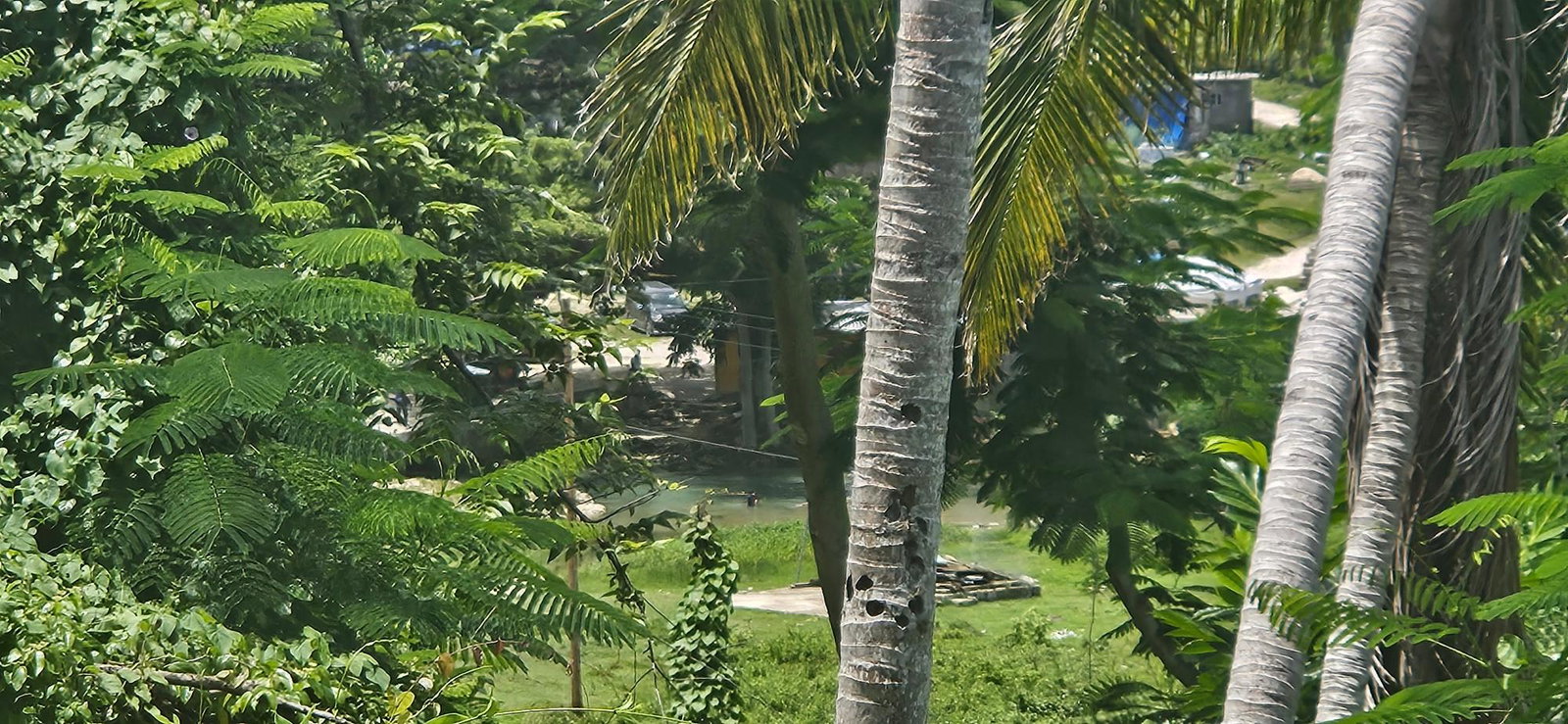 Ninth image of Roaring River in Roaring River, Westmoreland, Jamaica - property is For Sale