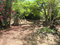 First image of Hylton Avenue, Westend in Negril, Westmoreland, Jamaica - property is For Sale