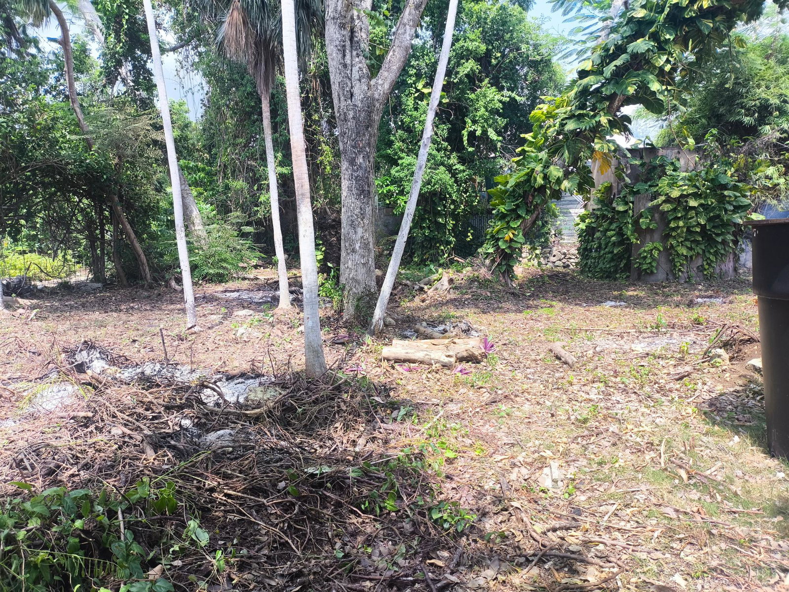 Tenth image of Hylton Avenue, Westend in Negril, Westmoreland, Jamaica - property is For Sale