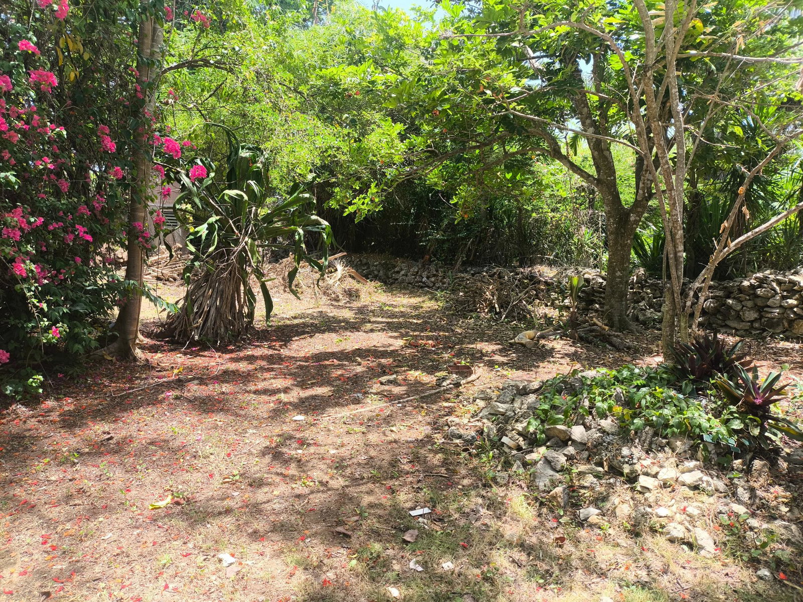 Seventeenth image of Hylton Avenue, Westend in Negril, Westmoreland, Jamaica - property is For Sale