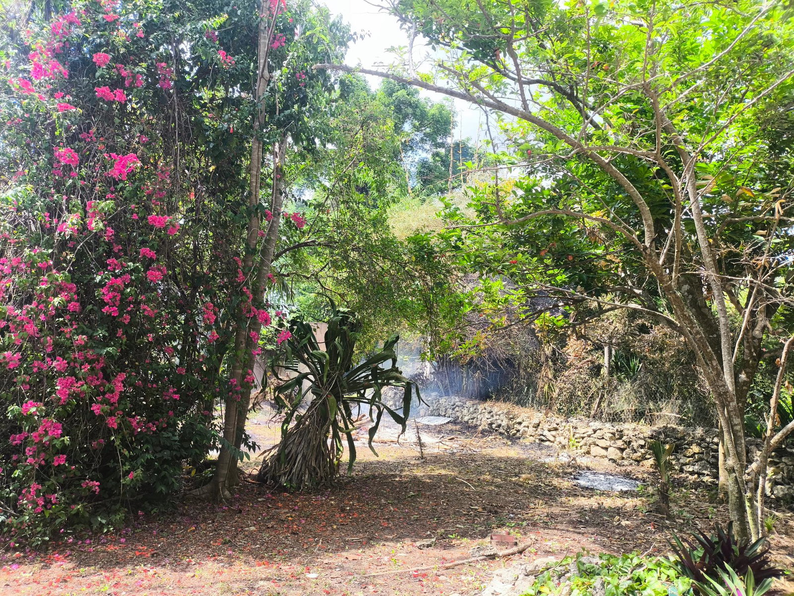 Fourth image of Hylton Avenue, Westend in Negril, Westmoreland, Jamaica - property is For Sale