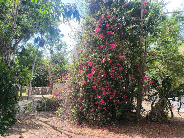 Fifth image of Hylton Avenue, Westend in Negril, Westmoreland, Jamaica - property is For Sale