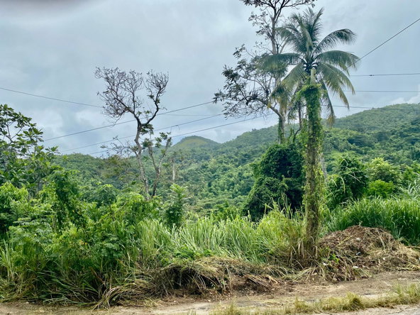 Tenth image of Crawle 2, St.catherine in Crawle Halt, St. Catherine, Jamaica - property is For Sale