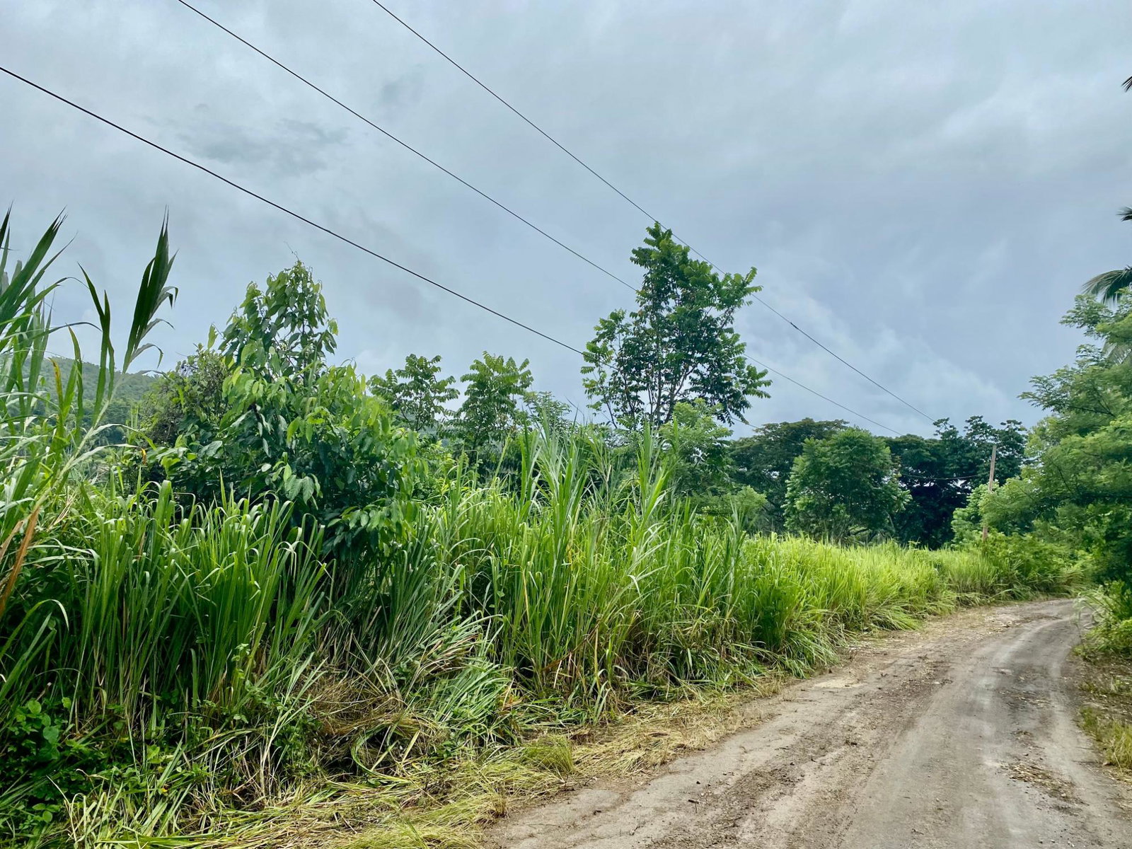 Fifth image of Crawle 2, St.catherine in Crawle Halt, St. Catherine, Jamaica - property is For Sale