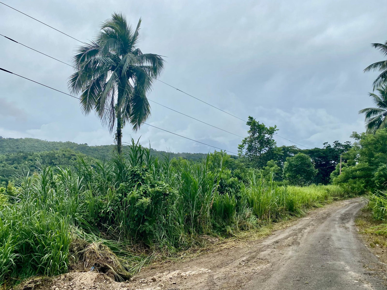 Seventh image of Crawle 2, St.catherine in Crawle Halt, St. Catherine, Jamaica - property is For Sale