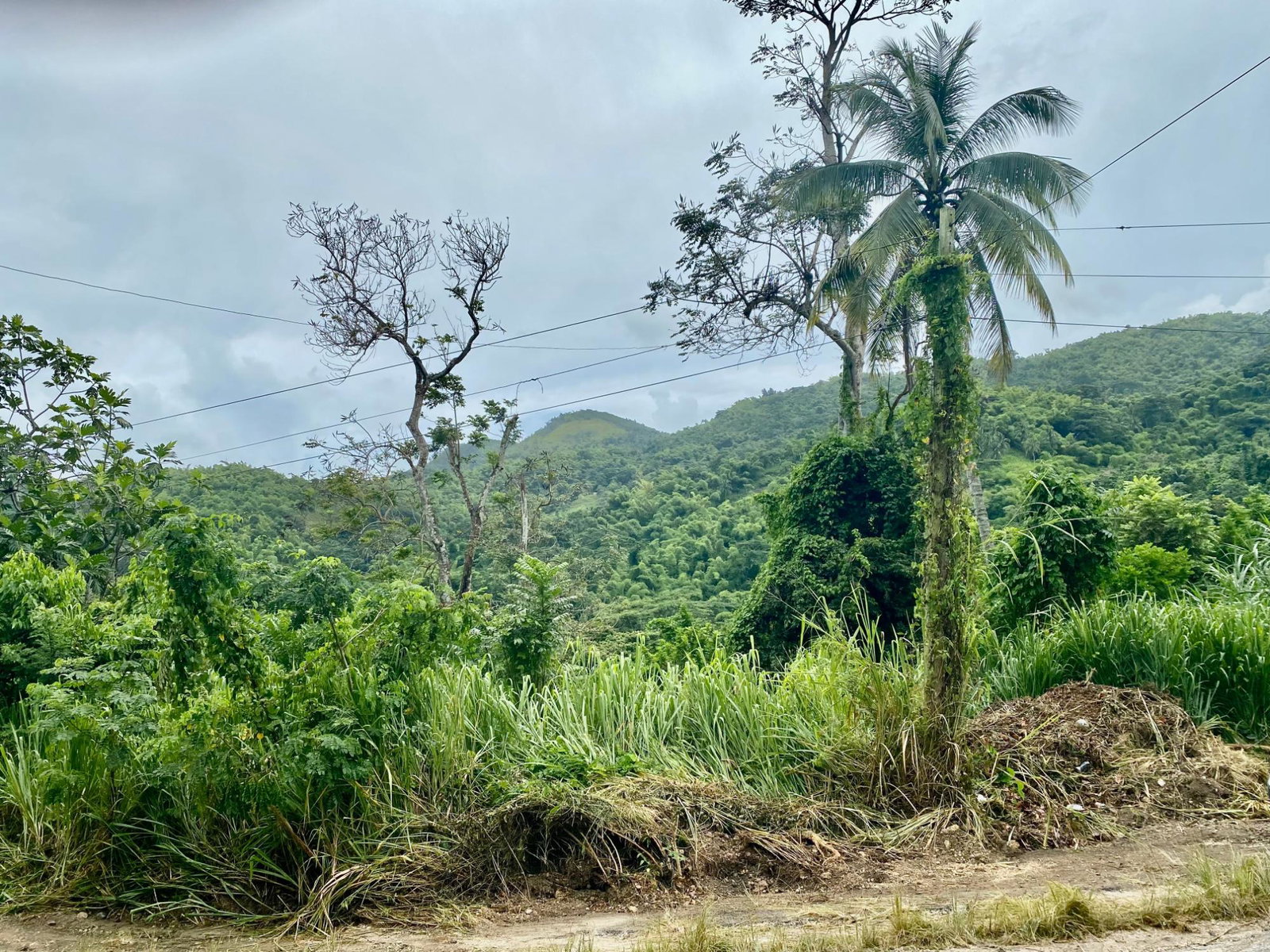 Tenth image of Crawle 2, St.catherine in Crawle Halt, St. Catherine, Jamaica - property is For Sale