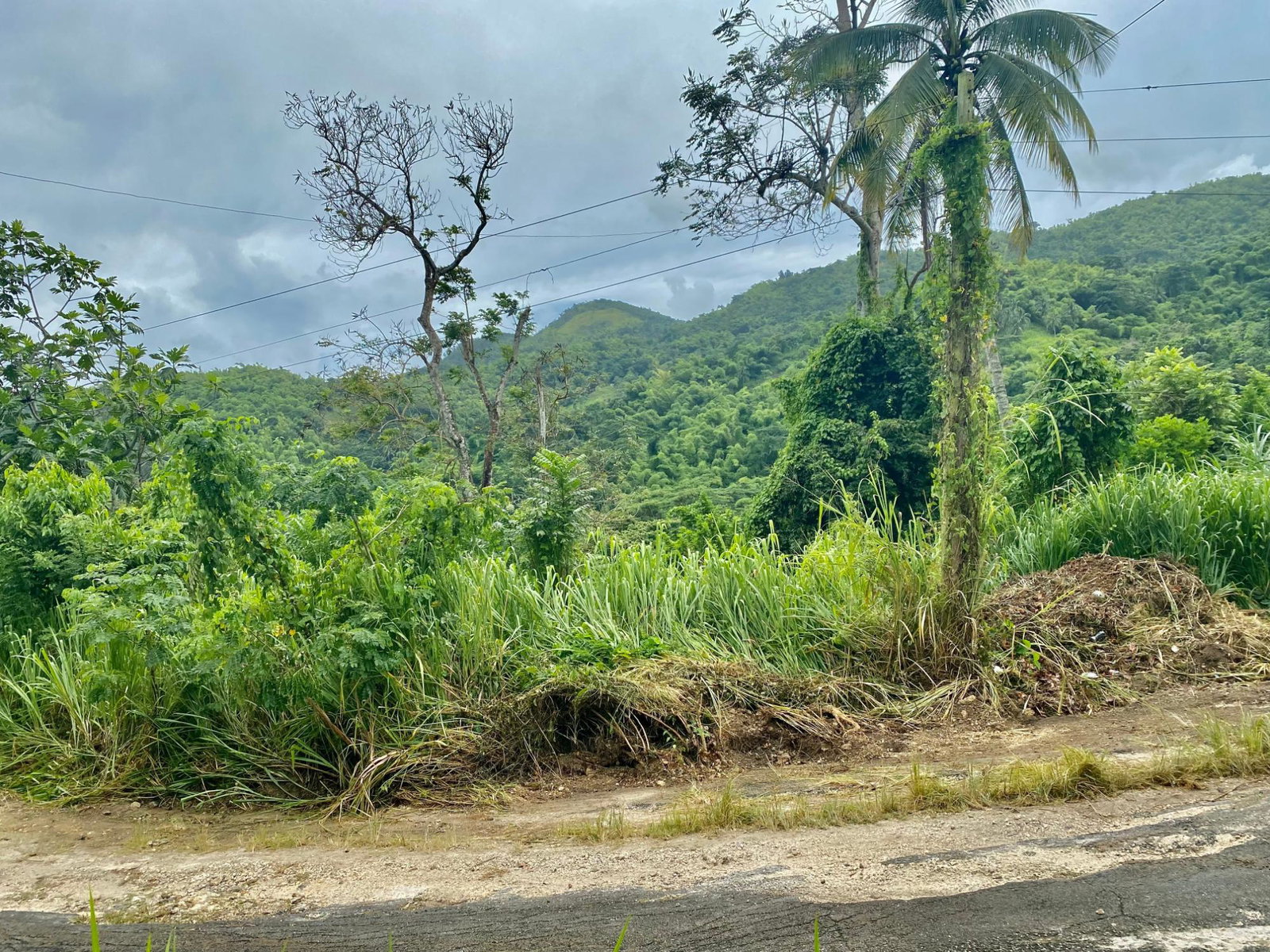 Eleventh image of Crawle 2, St.catherine in Crawle Halt, St. Catherine, Jamaica - property is For Sale