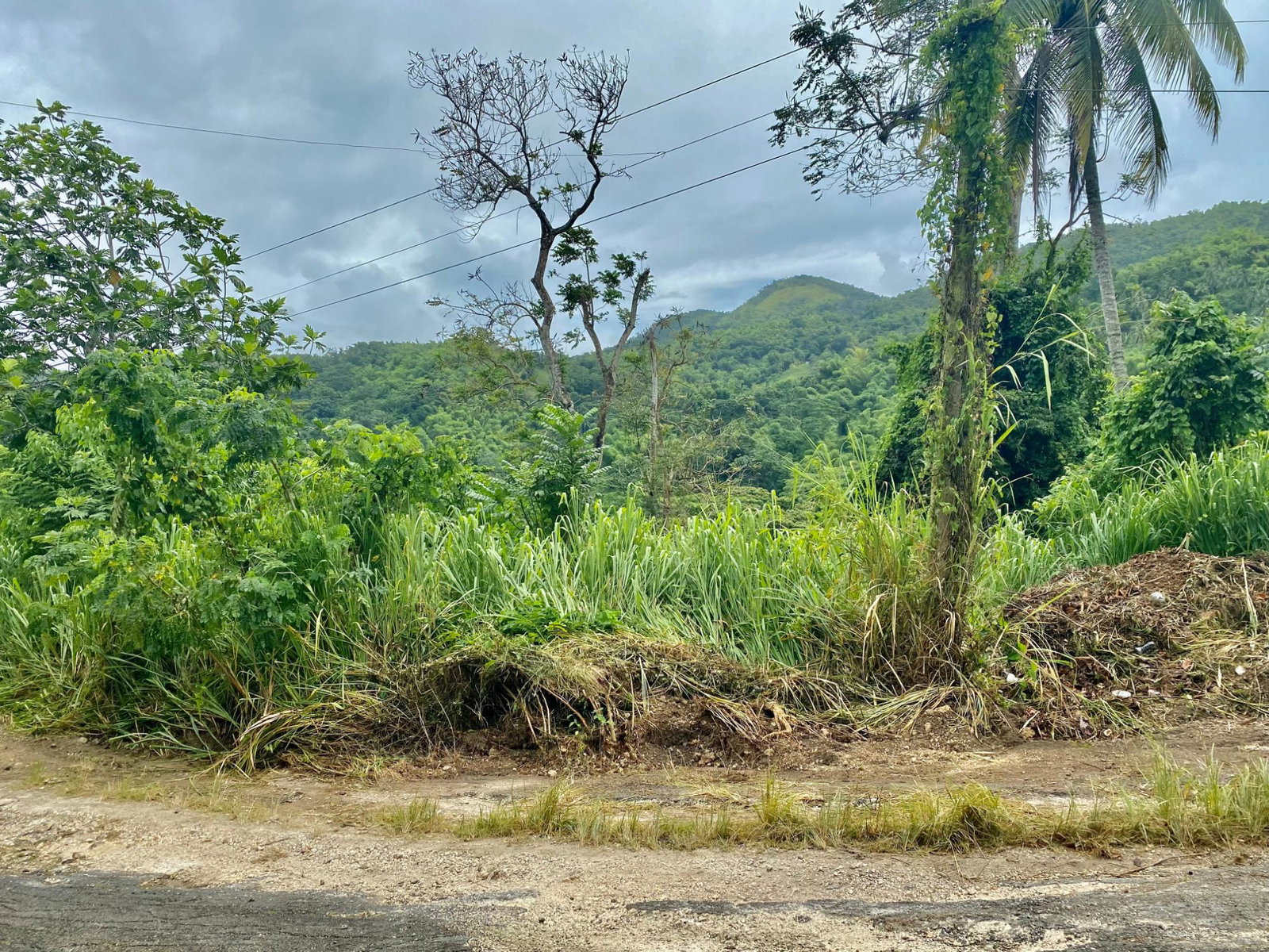 Twelfth image of Crawle 2, St.catherine in Crawle Halt, St. Catherine, Jamaica - property is For Sale