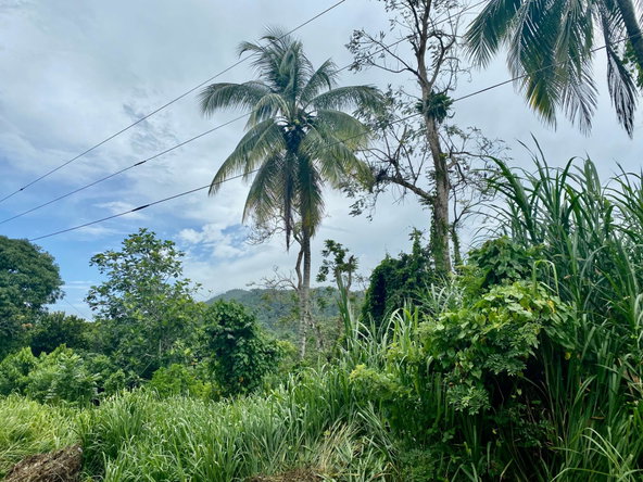 Thirteenth image of Crawle 2, St.catherine in Crawle Halt, St. Catherine, Jamaica - property is For Sale