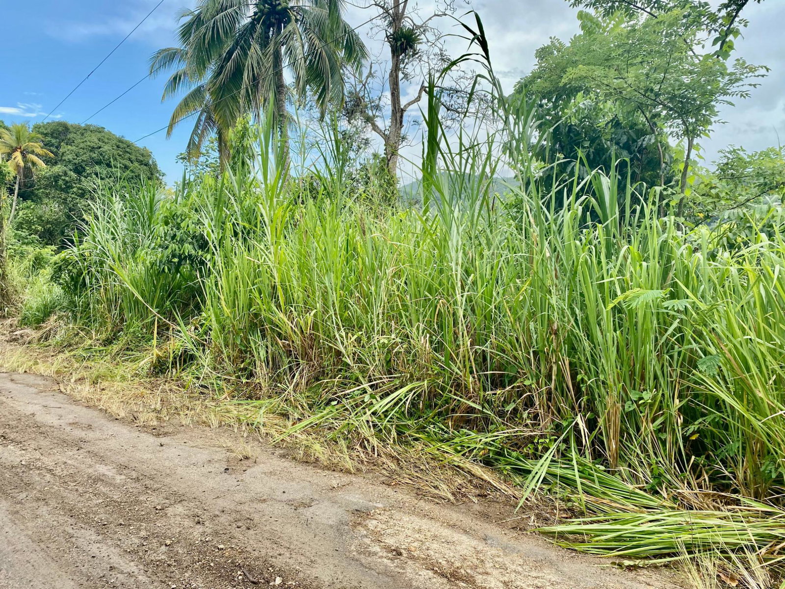 Fourteenth image of Crawle 2, St.catherine in Crawle Halt, St. Catherine, Jamaica - property is For Sale