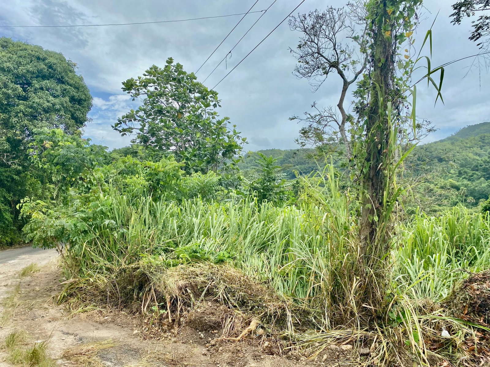 Sixth image of Crawle 2, St.catherine in Crawle Halt, St. Catherine, Jamaica - property is For Sale