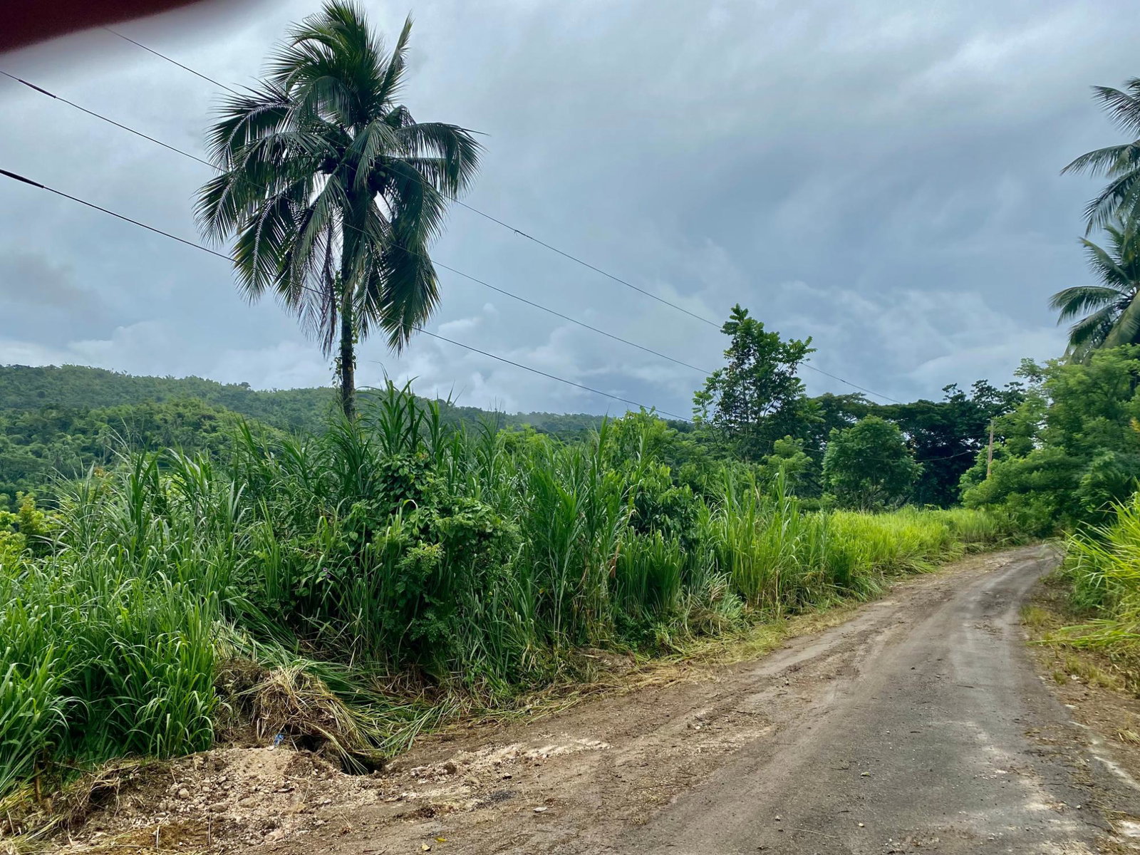 Eighth image of Crawle 2, St.catherine in Crawle Halt, St. Catherine, Jamaica - property is For Sale