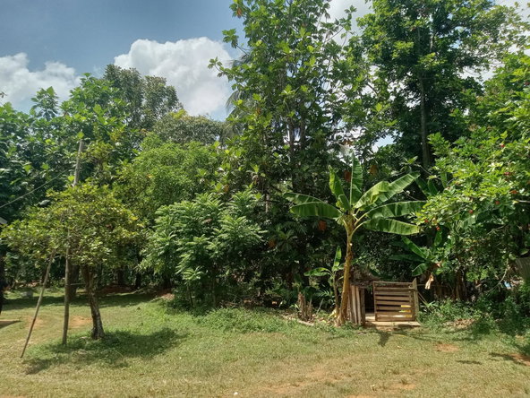 Nineteenth image of Clarks Town, Porus in Porus, Manchester, Jamaica - property is For Sale