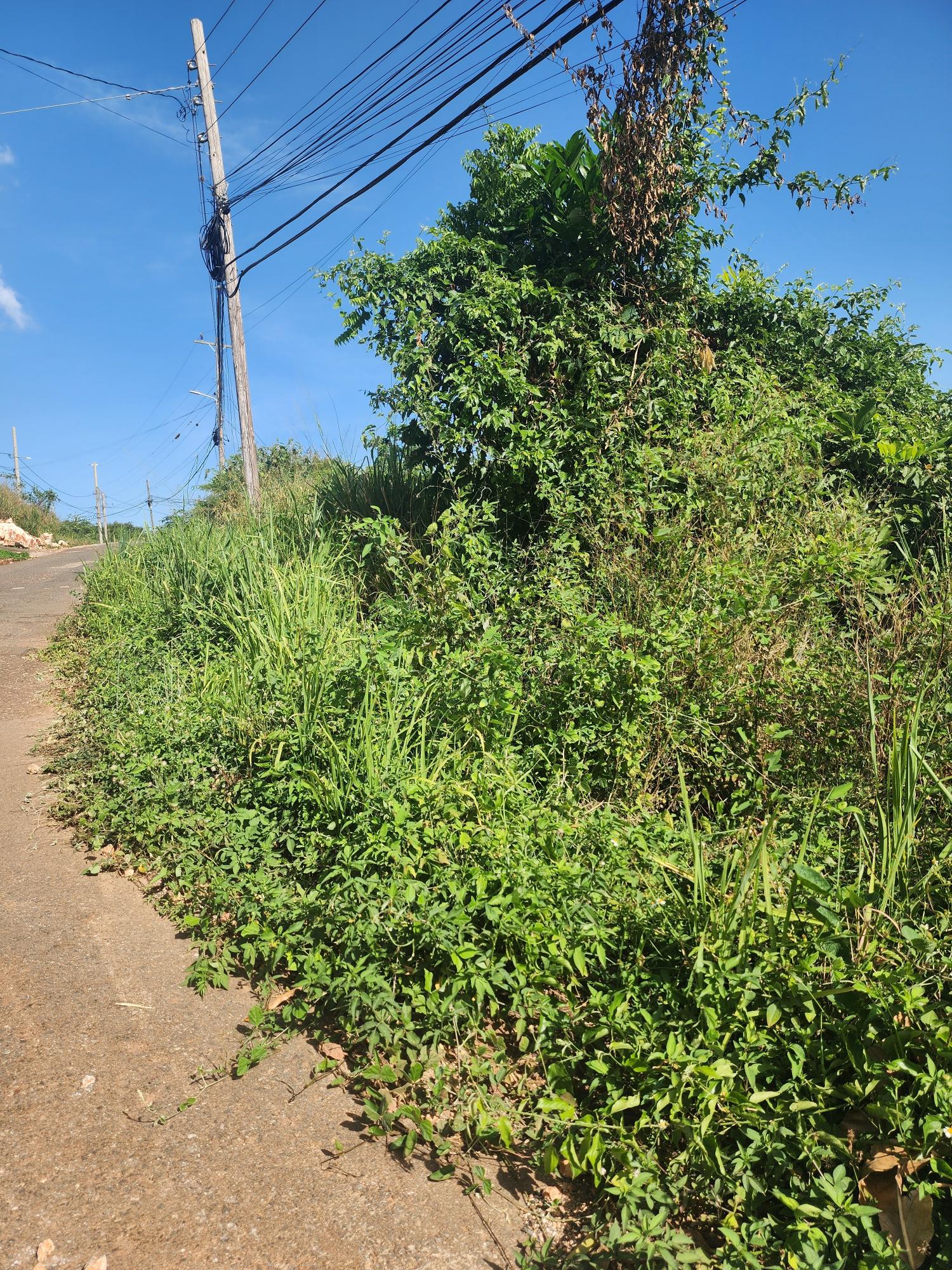 Second image of 160 Amethyst Drive, Golden ac in Red Hills, St. Andrew, Jamaica - property is For Sale