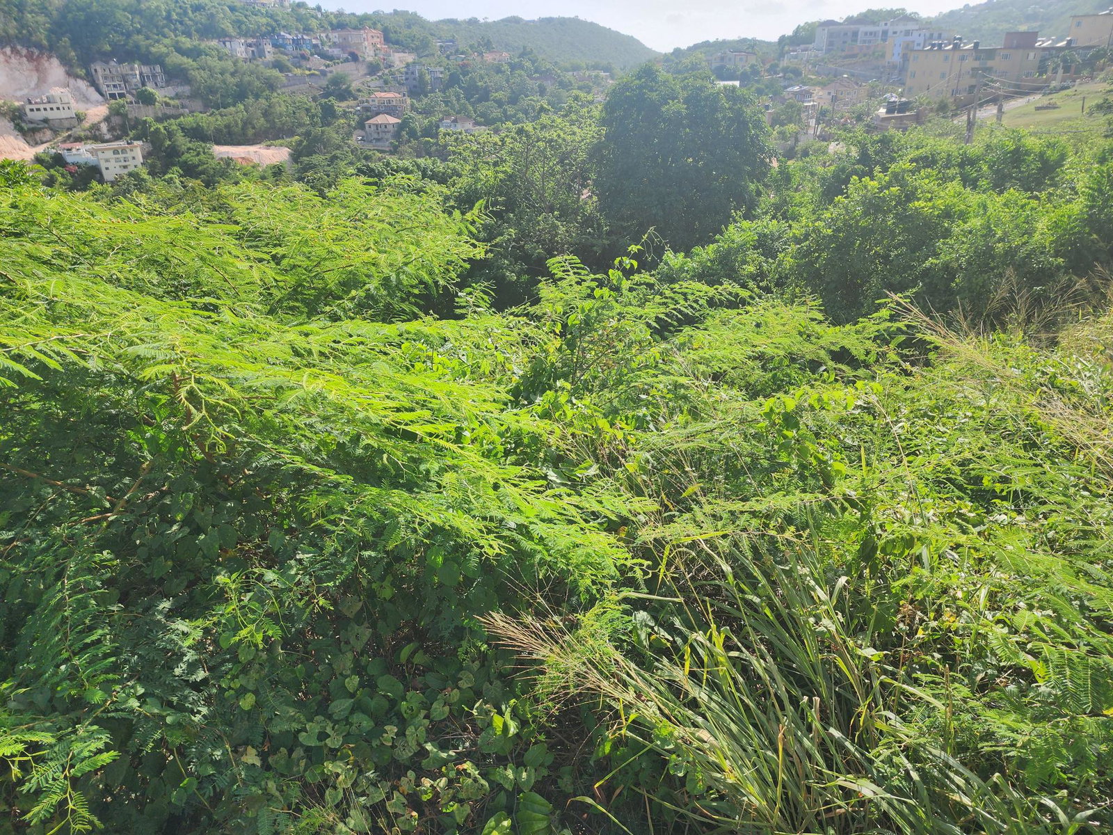 Third image of 160 Amethyst Drive, Golden ac in Red Hills, St. Andrew, Jamaica - property is For Sale