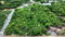 First image of 7 Sheckles in Sheckles, Clarendon, Jamaica - property is For Sale