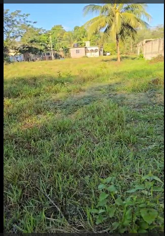 First image of Lot 115 Cedar Ave, Orangefield in Linstead, St. Catherine, Jamaica - property is For Sale
