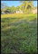 First image of Lot 115 Cedar Ave, Orangefield in Linstead, St. Catherine, Jamaica - property is For Sale