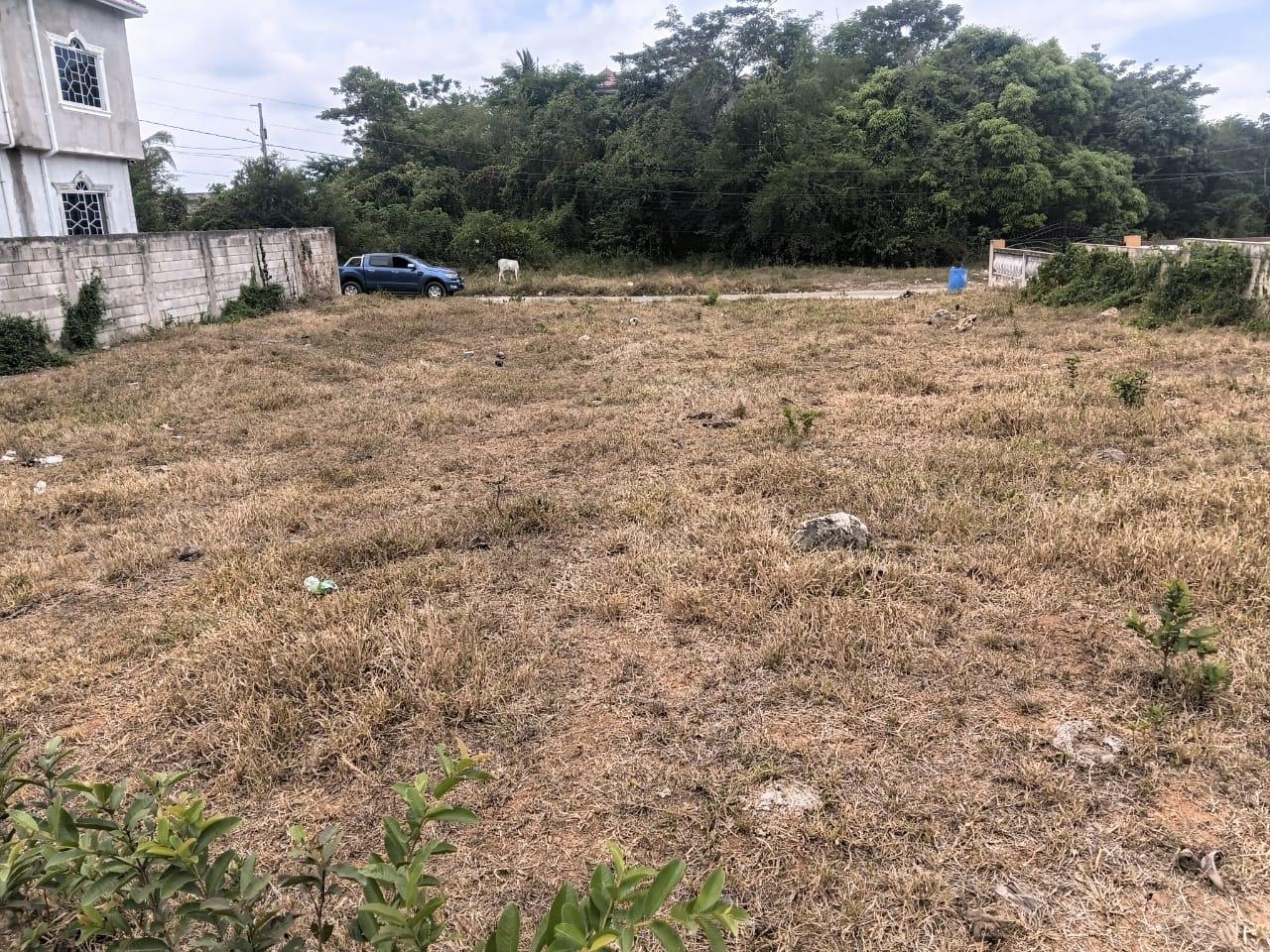 Sixth image of Lot 115 Cedar Ave, Orangefield in Linstead, St. Catherine, Jamaica - property is For Sale