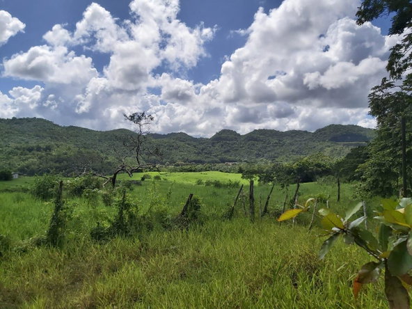 Eighth image of Part of Belmont in Moneague, St. Ann, Jamaica - property is For Sale