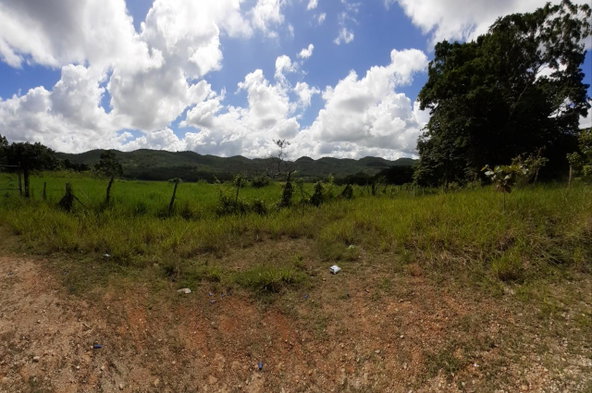 Ninth image of Part of Belmont in Moneague, St. Ann, Jamaica - property is For Sale