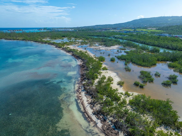Twelfth image of Riviera Island, Mahoe Bay in Little River, St. James, Jamaica - property is For Sale
