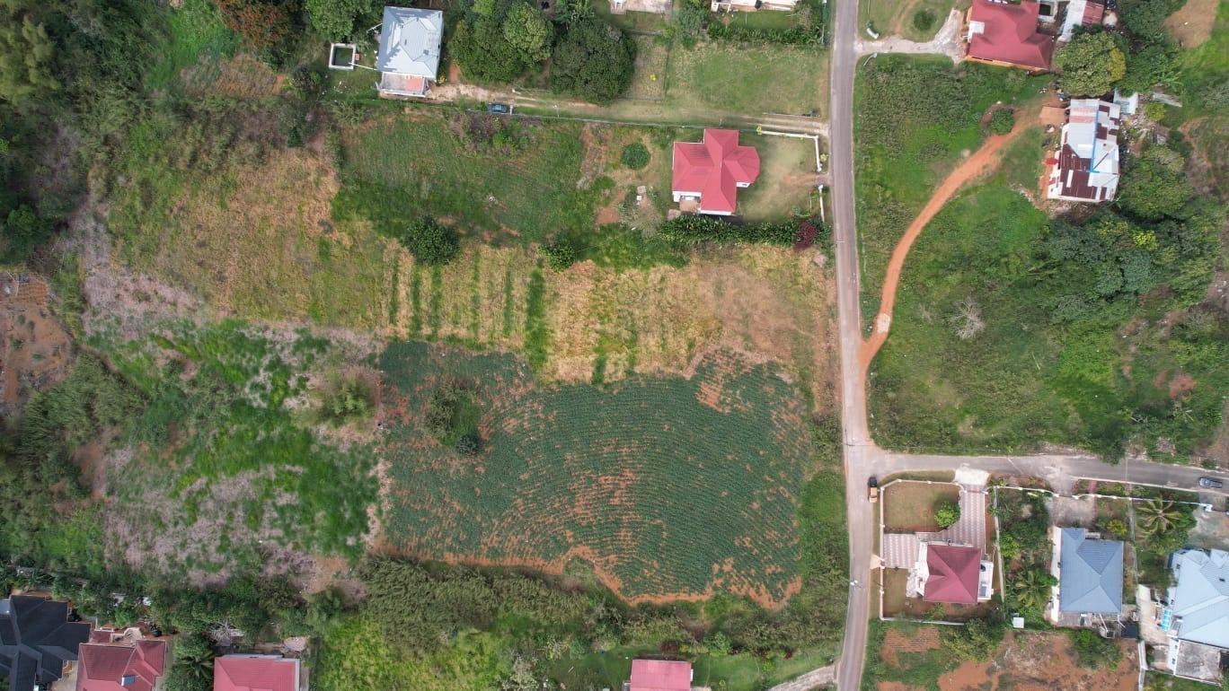 Tenth image of West Road, Brumalia in Mandeville, Manchester, Jamaica - property is For Sale