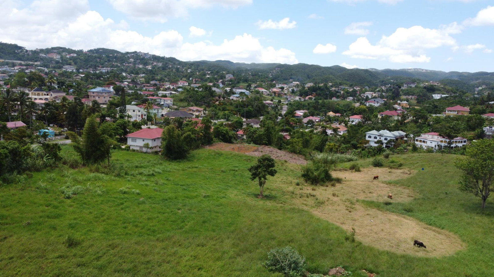 Nineteenth image of West Road, Brumalia in Mandeville, Manchester, Jamaica - property is For Sale