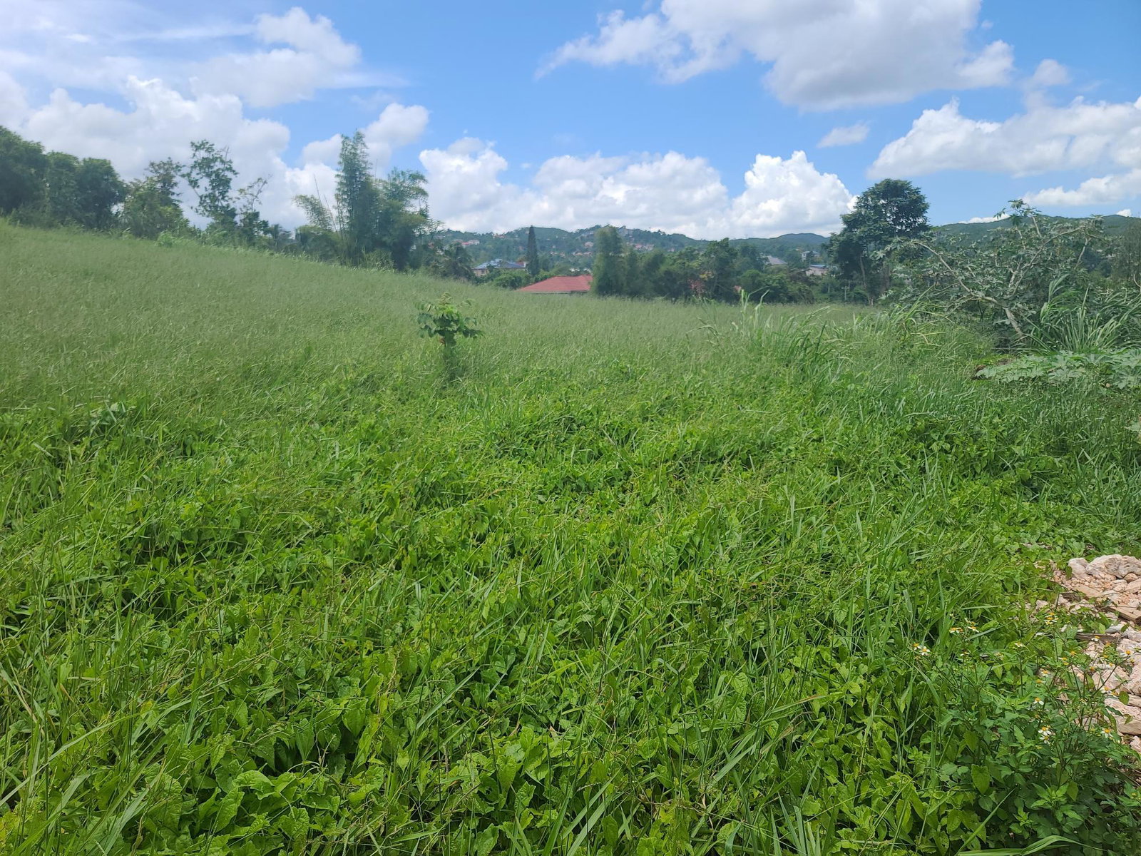 Twenty-Eighth image of West Road, Brumalia in Mandeville, Manchester, Jamaica - property is For Sale