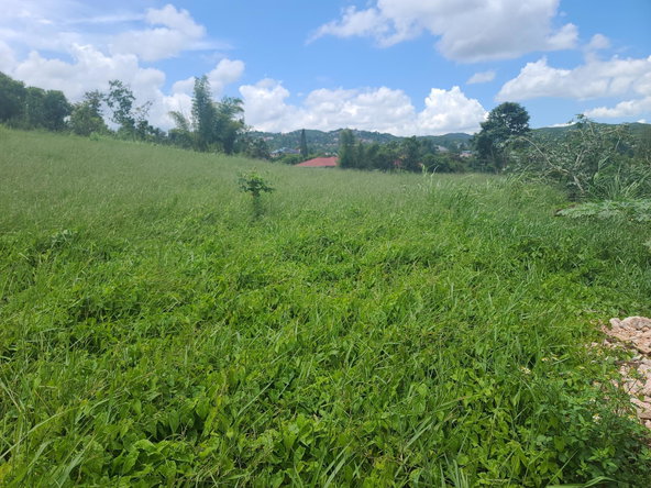 Twenty-Eighth image of West Road, Brumalia in Mandeville, Manchester, Jamaica - property is For Sale
