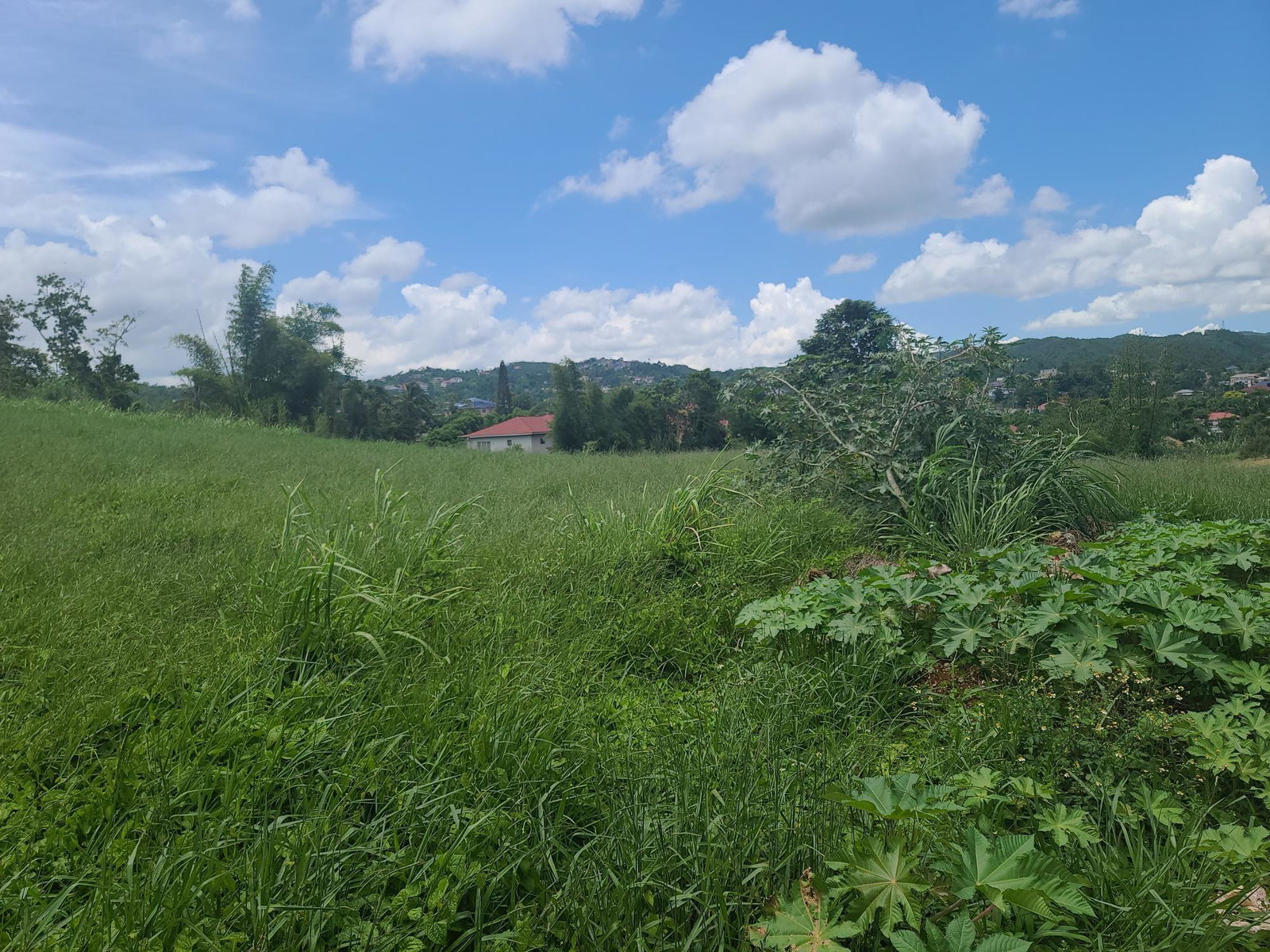 Twenty-Ninth image of West Road, Brumalia in Mandeville, Manchester, Jamaica - property is For Sale