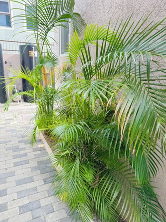 Fifth image of 5-24 Seymour Avenue in Kingston 6, St. Andrew, Jamaica - property is For Rent