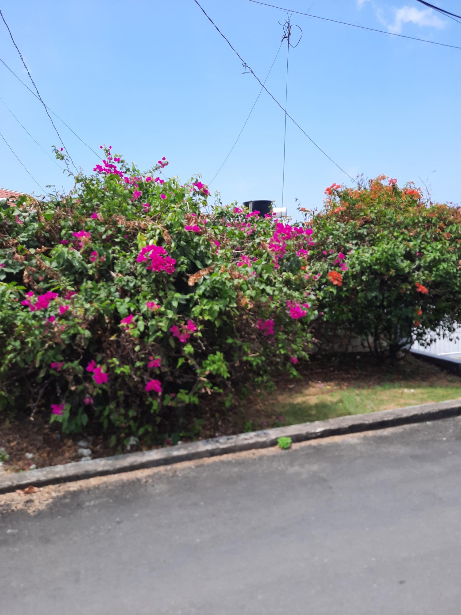 Second image of 220 Boscobel Drive in Boscobel, St. Mary, Jamaica - property is For Sale