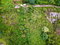 First image of 13 Circinus Circle, Smokey v in Kingston 19, St. Andrew, Jamaica - property is For Sale