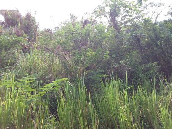 Fourth image of 13 Circinus Circle, Smokey v in Kingston 19, St. Andrew, Jamaica - property is For Sale