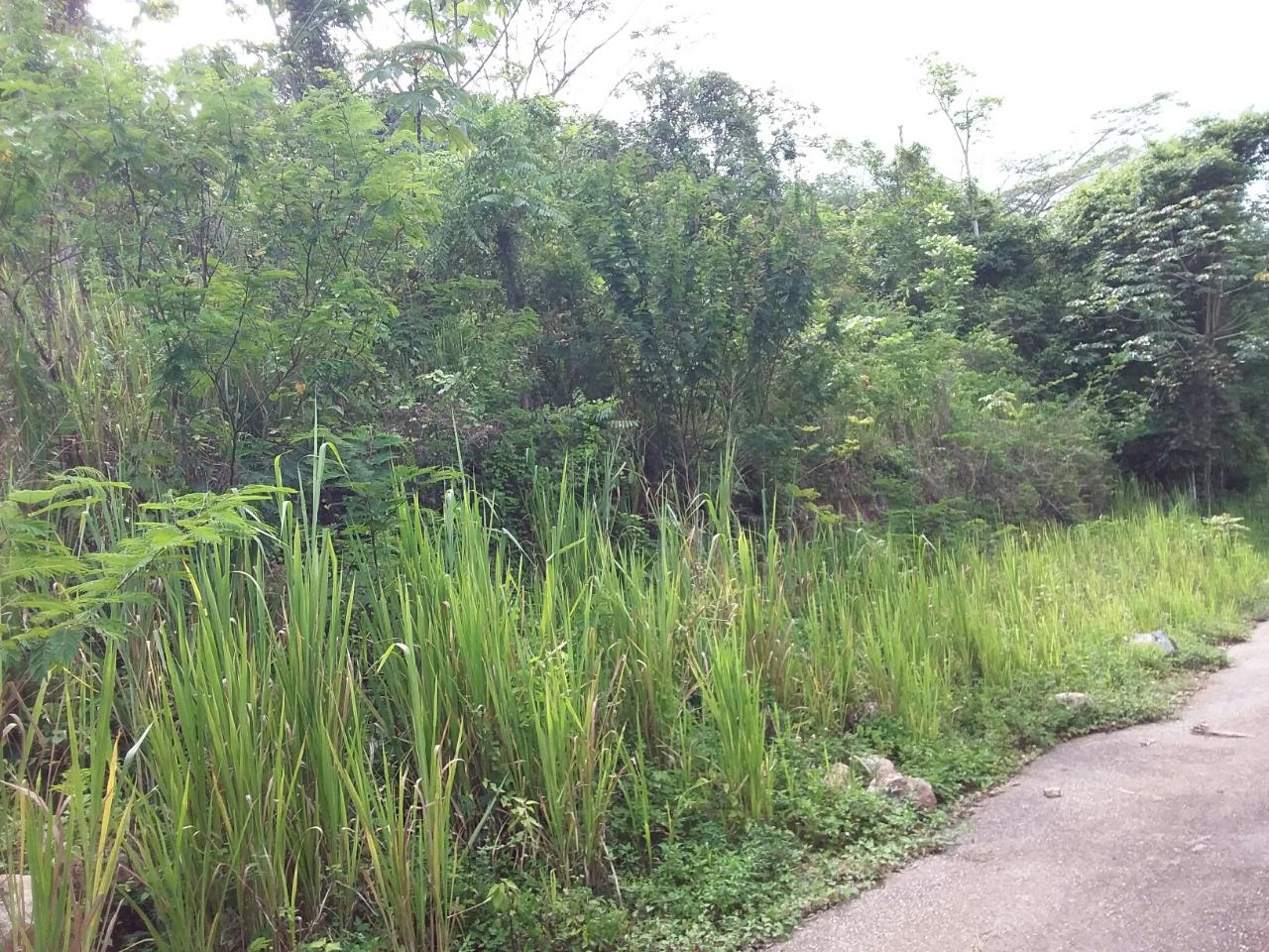 Fifth image of 13 Circinus Circle, Smokey v in Kingston 19, St. Andrew, Jamaica - property is For Sale