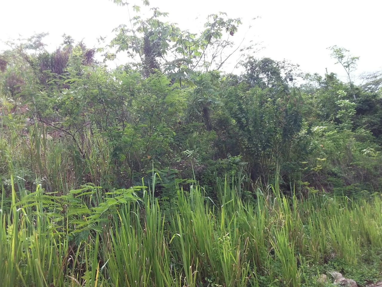 Sixth image of 13 Circinus Circle, Smokey v in Kingston 19, St. Andrew, Jamaica - property is For Sale