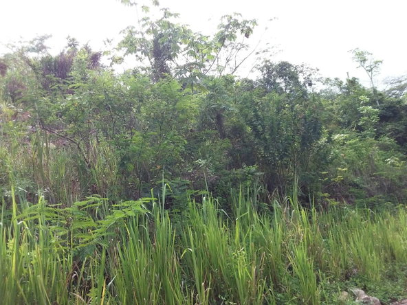 Sixth image of 13 Circinus Circle, Smokey v in Kingston 19, St. Andrew, Jamaica - property is For Sale