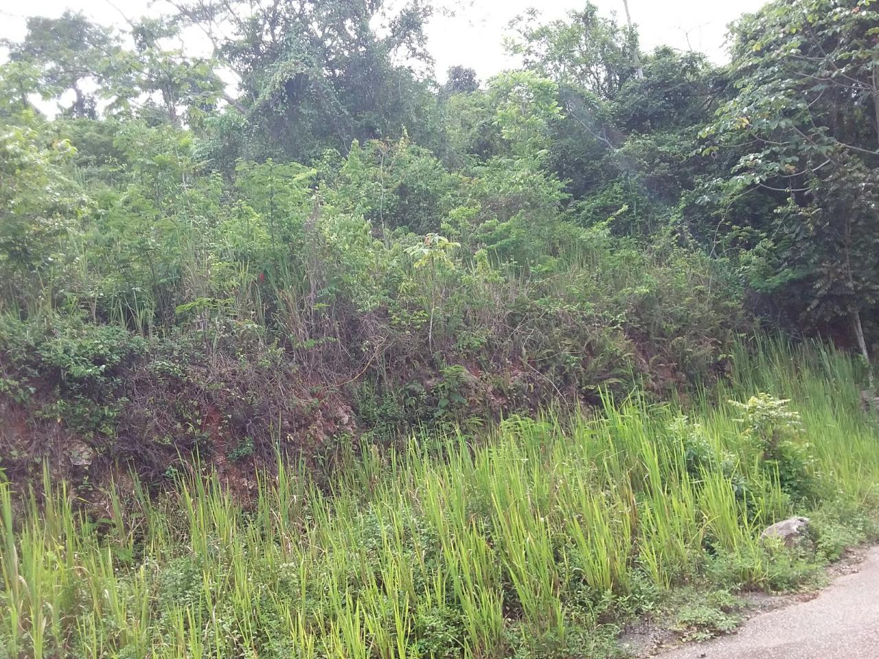 Seventh image of 13 Circinus Circle, Smokey v in Kingston 19, St. Andrew, Jamaica - property is For Sale