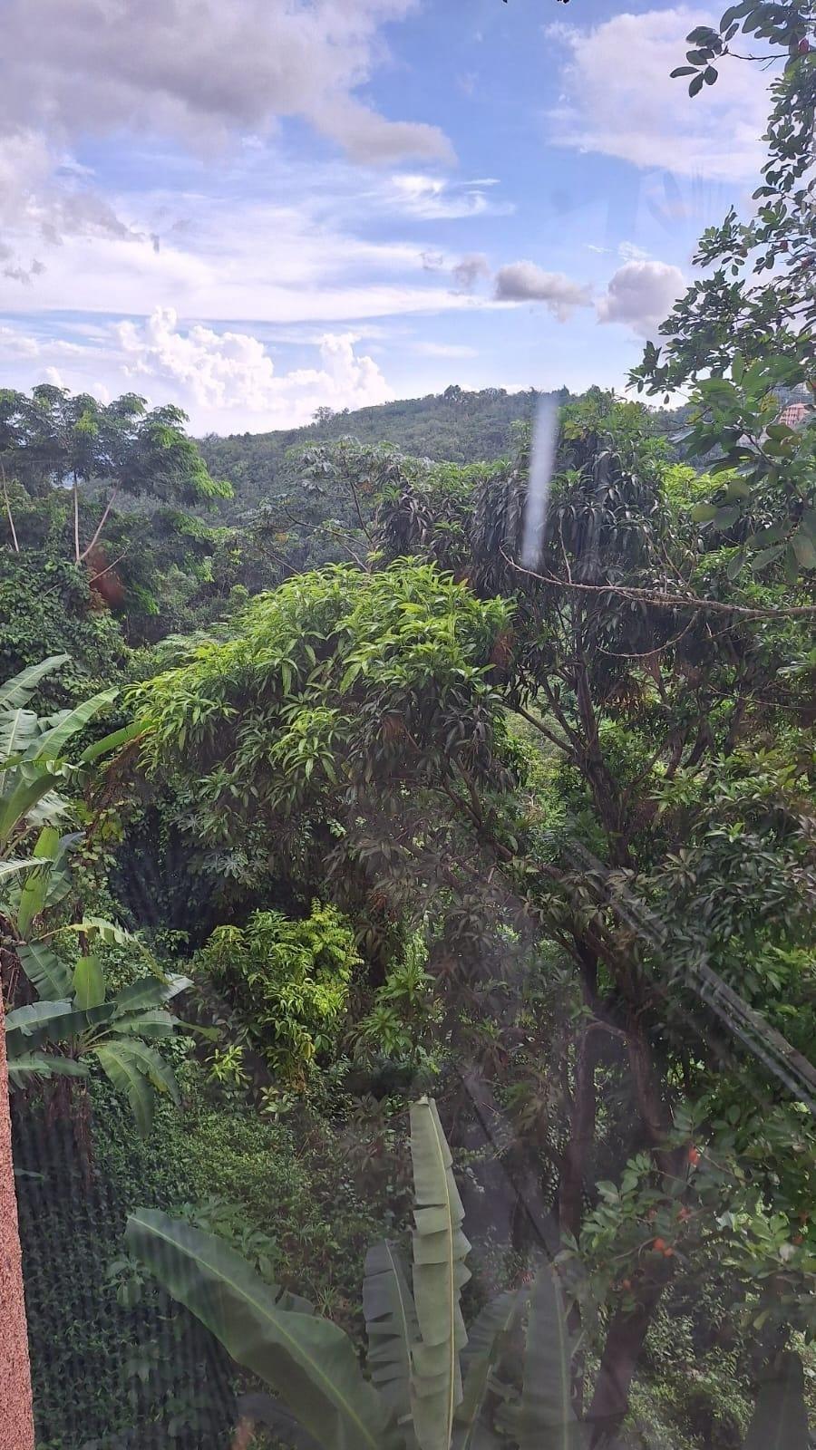 Fifth image of 45-162 Old Stony Hill Road in Stony Hill P.O., St. Andrew, Jamaica - property is For Rent