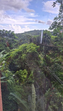 Fifth image of 45-162 Old Stony Hill Road in Stony Hill P.O., St. Andrew, Jamaica - property is For Rent