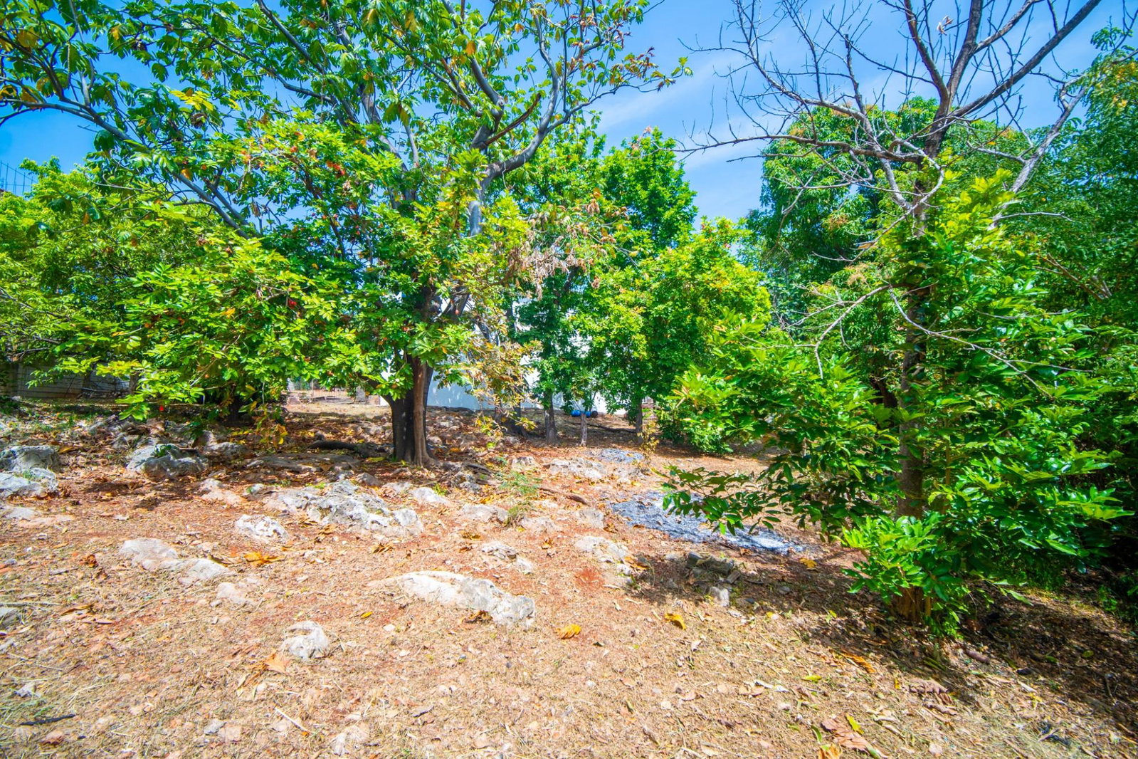 Twenty-First image of 210 Red Hills Road in Kingston 19, St. Andrew, Jamaica - property is For Sale