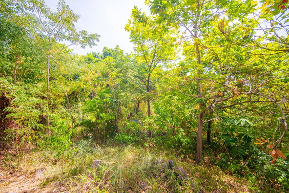 Twenty-Second image of 210 Red Hills Road in Kingston 19, St. Andrew, Jamaica - property is For Sale