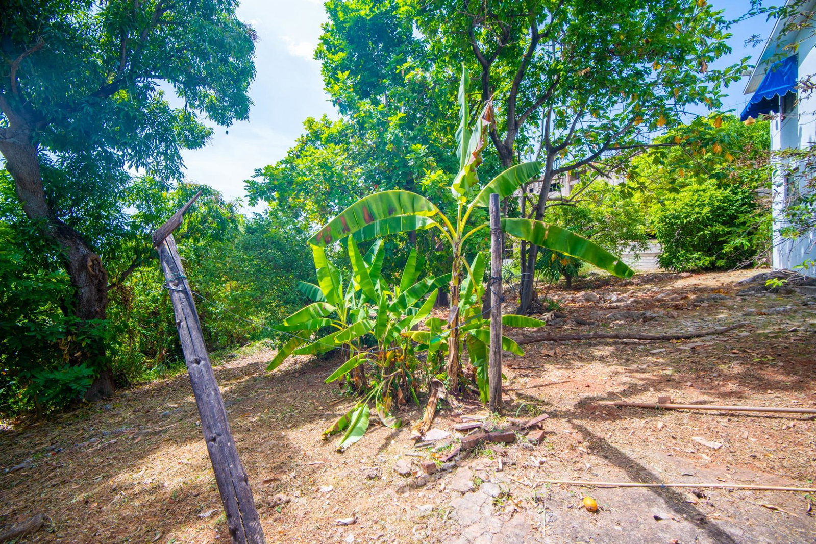 Twenty-Third image of 210 Red Hills Road in Kingston 19, St. Andrew, Jamaica - property is For Sale